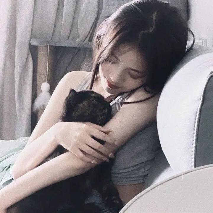 猪妖传
